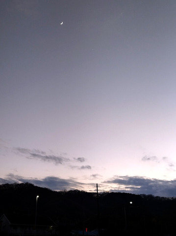 IMG_20250104_165714a