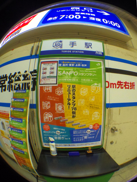 IMGP6510aa