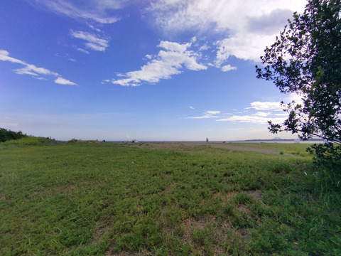 IMG_20240817_153823aa