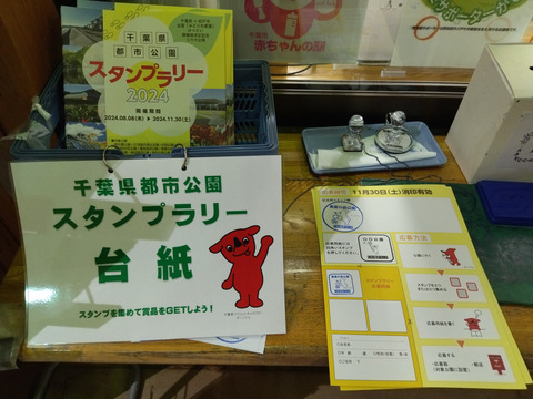 IMG_20241116_155725aa