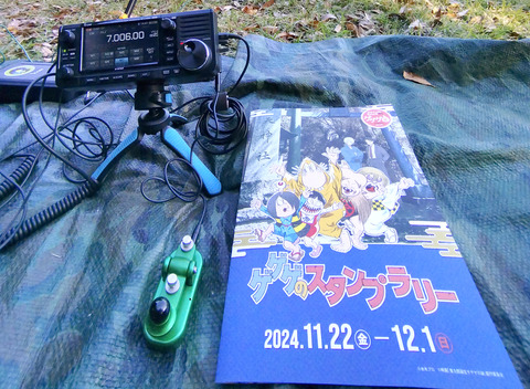 IMG_20241127_144102aa