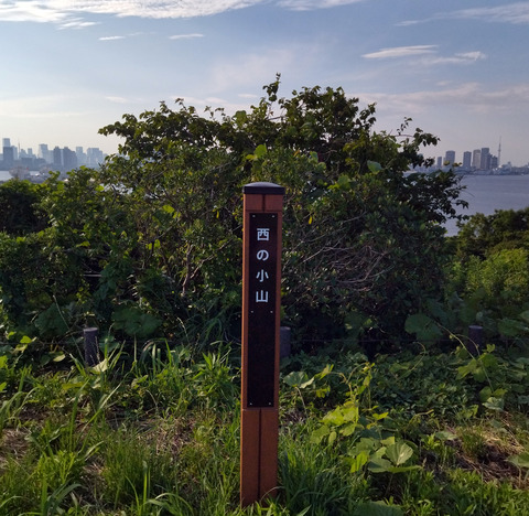 IMG_20250628_164732aa