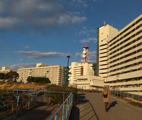 IMG_20250309_165220aa