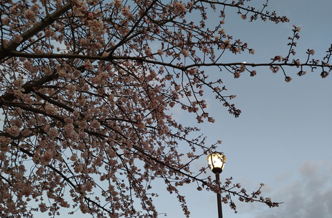 IMG_20250309_174021_1aa