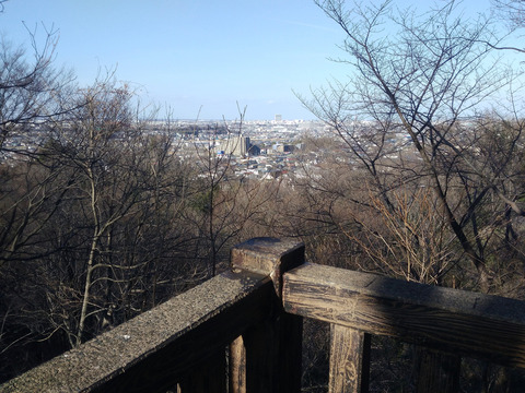 IMG_20210214_150442aa