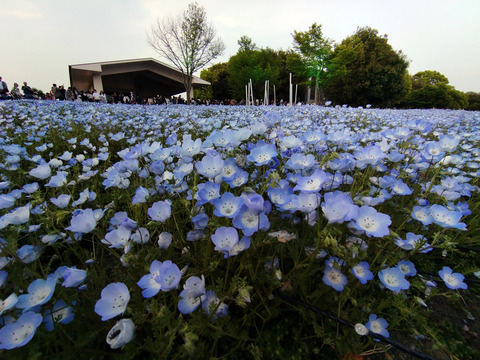 IMG_20250419_180849aa