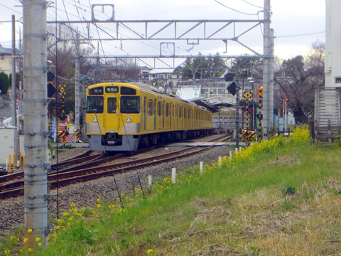 IMGP0955aa