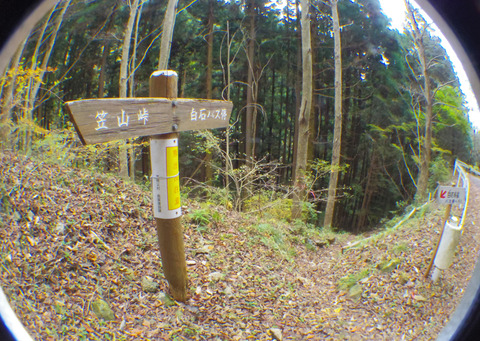 IMGP7307aa