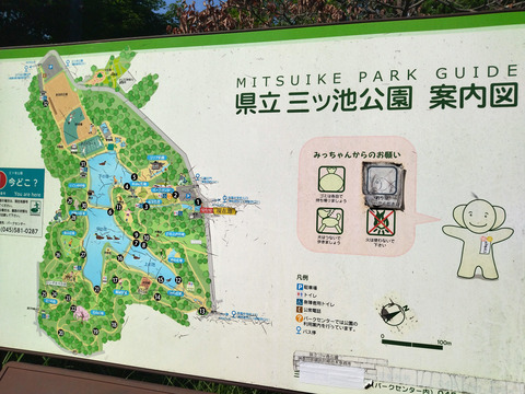 IMG_20240803_150625aa