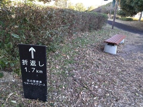 IMG_20250211_145530a