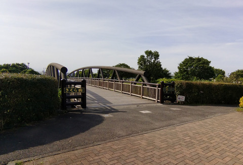 IMG_20240608_155647_1aa