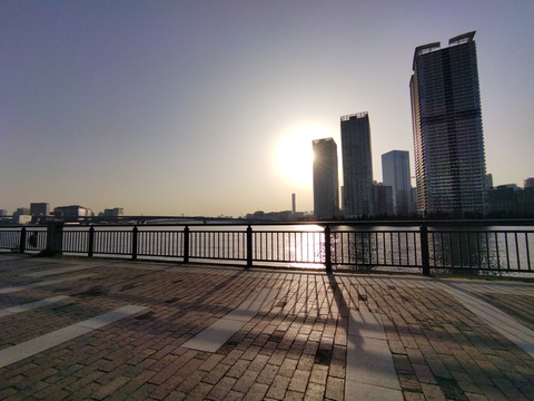 IMG_20230311_162346_1aa