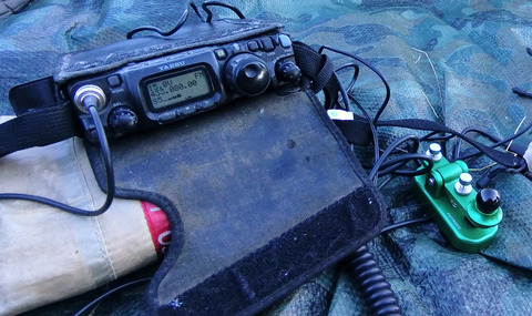 IMG_20241103_153159aa