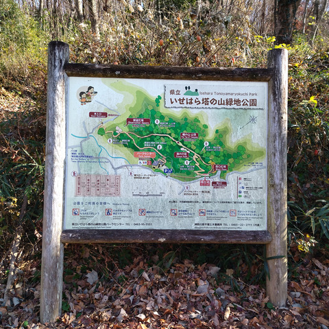 IMG_20250104_131507aa