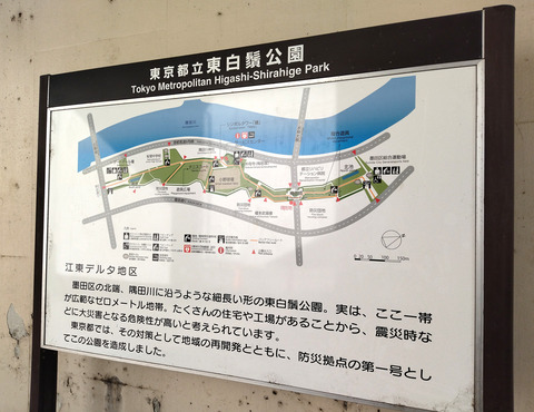 IMG_20250309_144446aa