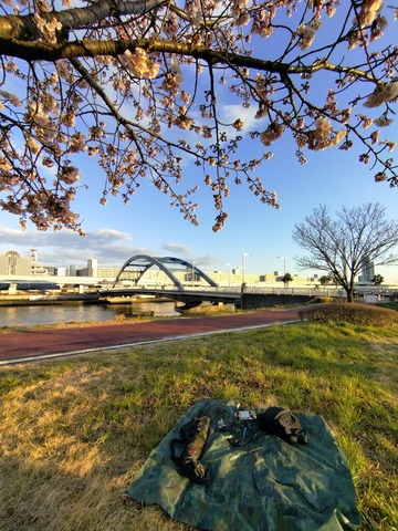 IMG_20250309_170908_1