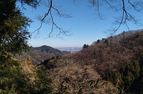 IMG_20250111_120634_1aa