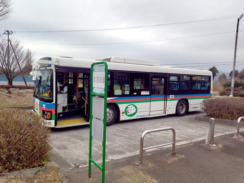 IMG_20250119_115743aa