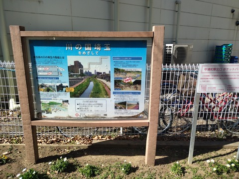 IMG_20250211_115452_1