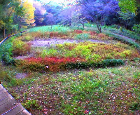 IMGP7163aa