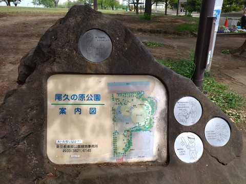 IMG_20240421_103742_1