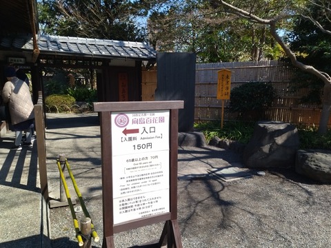 IMG_20250309_115513_1