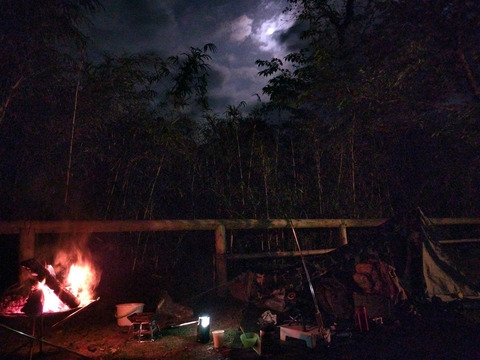 IMG_20220416_203121aa