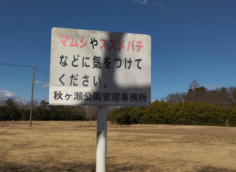 IMG_20250211_104157aa