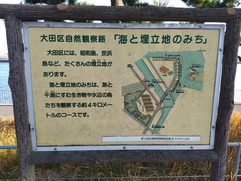 IMG_20250103_134841aa