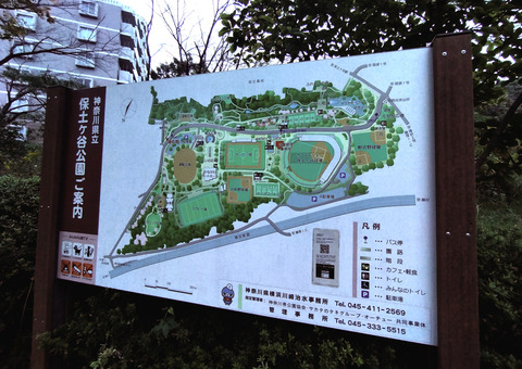 IMG_20241110_160755aa