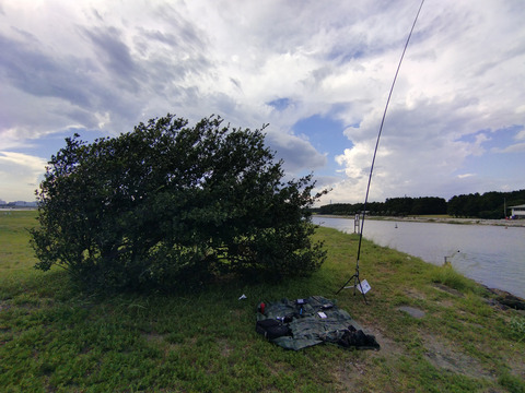 IMG_20240817_152331aa