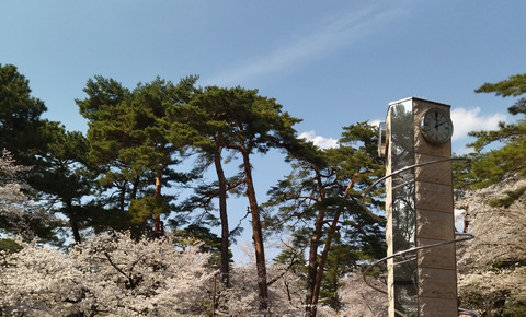 IMG_20250405_135938aa