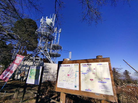 IMG_20250111_124456aa