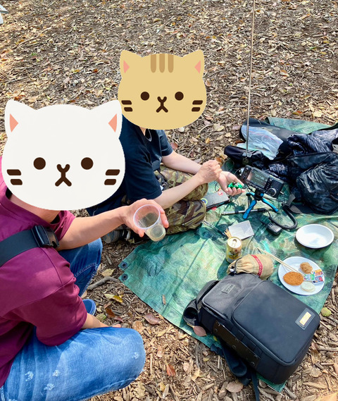 line_32177376267151aa