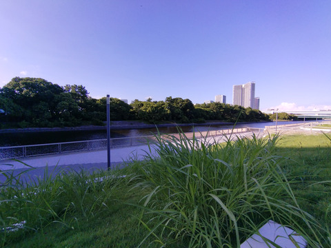 IMG_20240825_161202aa