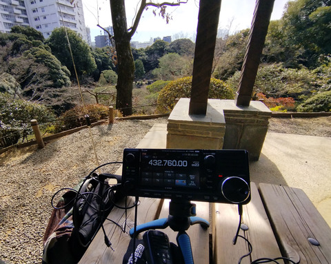 IMG_20250222_115541aa