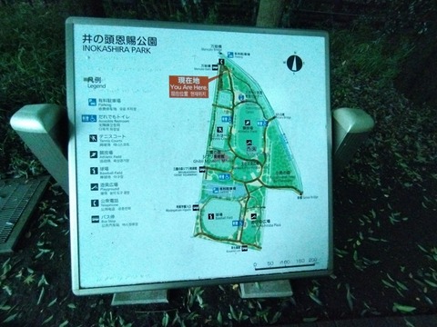 IMG_20250811_160318_1