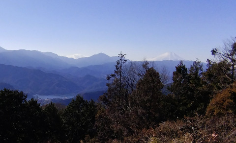 IMG_20240106_120522ab