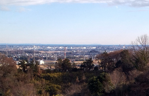 IMG_20250104_133555aa