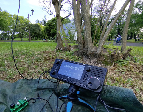 IMG_20250427_155540aa