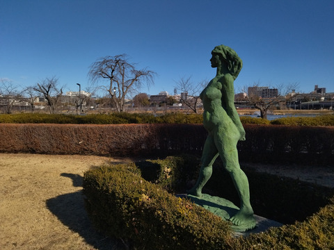 IMG_20250209_092646aa