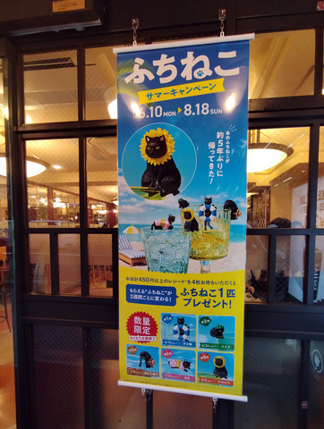 IMG_20240710_161636aa