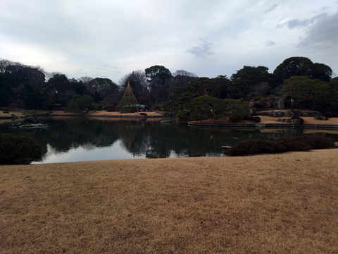 IMG_20250112_152014_1a