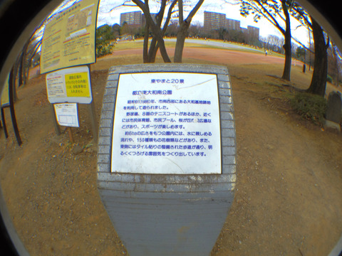 IMGP4311aa