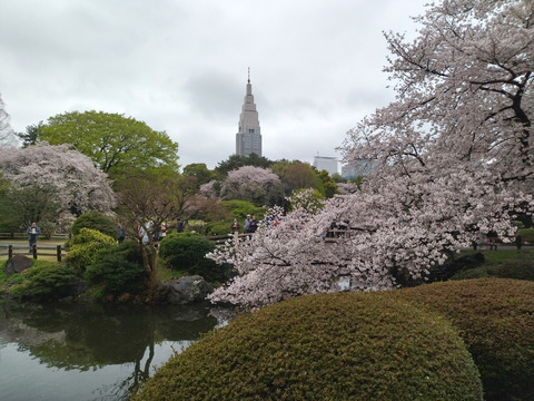 IMG_20230325_154505aa