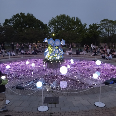 IMG_20250419_183050aa