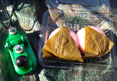 IMG_20240410_154101aa