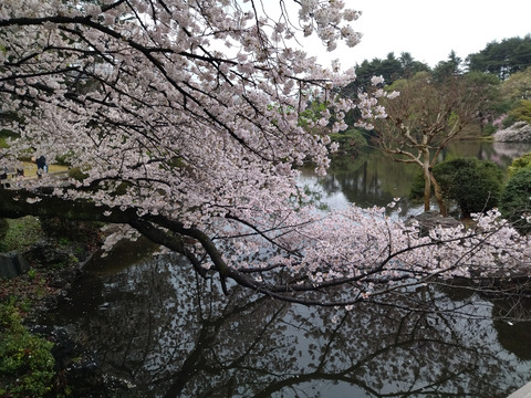 IMG_20230325_154547aa