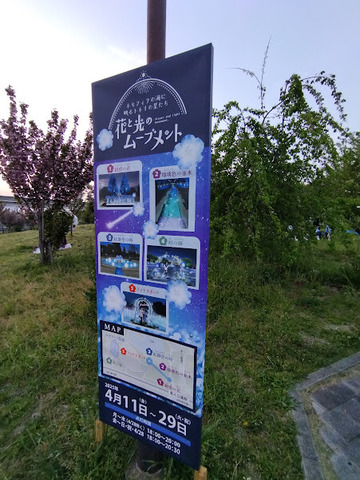 IMG_20250419_180534_1