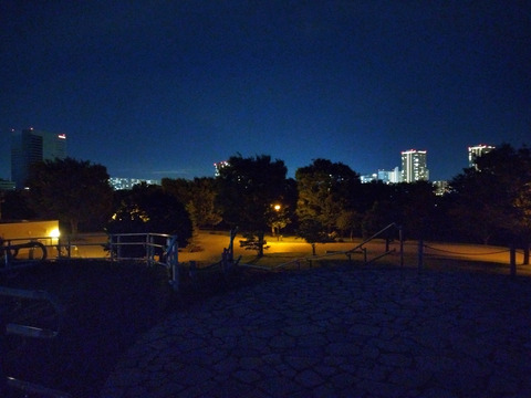 IMG_20240608_194434_1aa